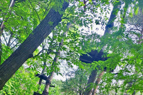 Narodowe Muzeum Wsi i park przygód Comana