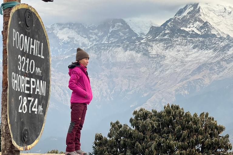 Z Pokhary: 4-dniowy trekking Ghorepani Poon Hill z przewodnikiem