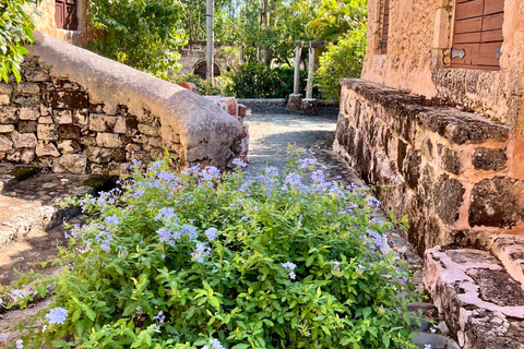 Excursão cultural a Altos de Chavón e La Romana com sabores locais