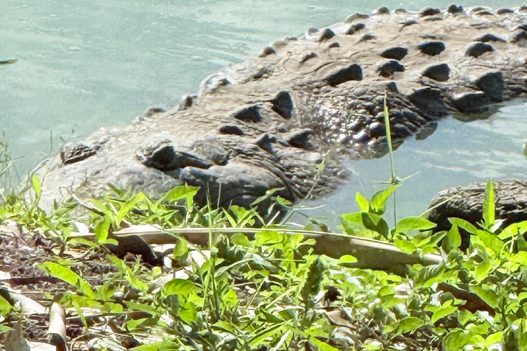 From Bacalar: Ichkabal Ruins + Lagoon Tour + Los Rápidos 2 Highligts Only: Ichkabal Mayan Ruins & Pontoon Boat Tour