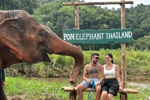 Chiang Mai: Excursión a Doi Inthanon y Santuario de ElefantesPunto de encuentro