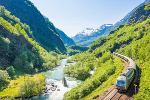 Bergen: Flåm Railway, Nærøyfjord Cruise & Stegastein View