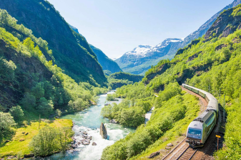 Bergen: Flåm Railway, Nærøyfjord Cruise & Stegastein View