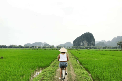 Ninh Binh Day Tour to Hoa Lu Tam Coc and Mua Cave