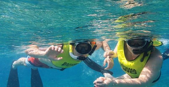 Nassau: Green Cay Turtle Island Snorkeling Tour