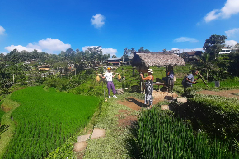 Ubud: Foresta di scimmie, terrazze di riso e cascateUbud: Foresta di scimmie, terrazza di riso e cascata