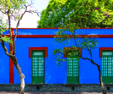 Mexico City: Frida Kahlo Vip Walking Tour & Churros