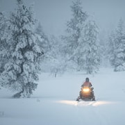 Saariselkä: Ganztägiges Abenteuer mit Schneemobilen