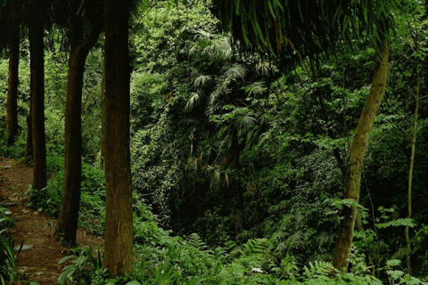 Chengdu Group Tour: Dujiangyan Water System & Mt Qingcheng