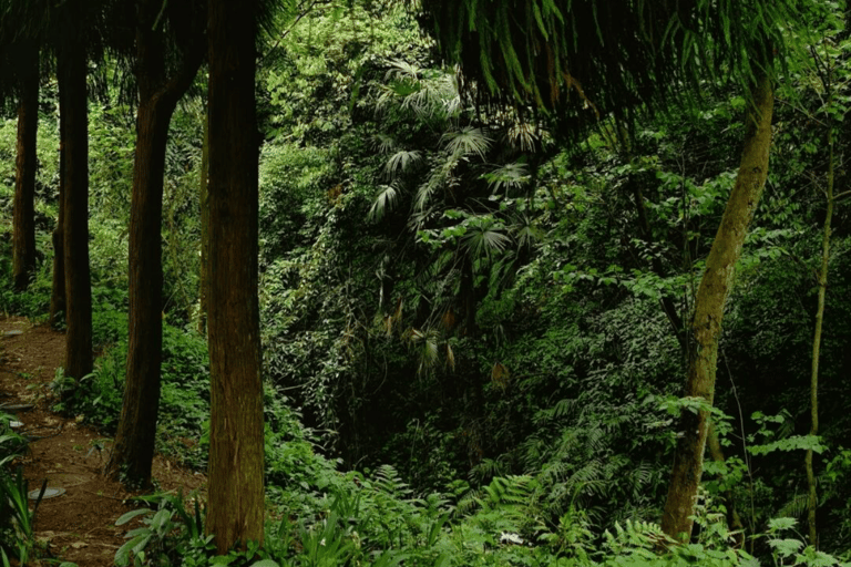 Chengdu Group Tour: Dujiangyan Water System & Mt Qingcheng