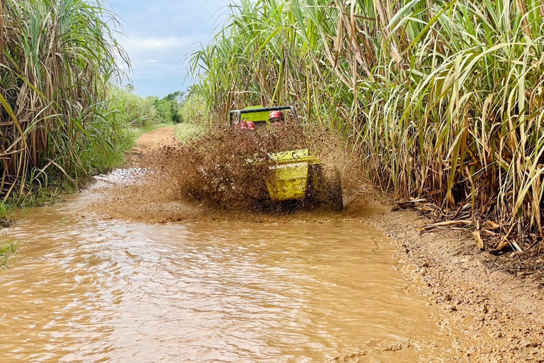 Bayahibe: Adventure Buggy ride through Chavon RiverDouble