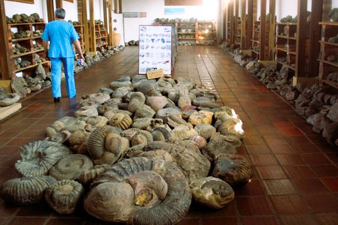 Camino Real : Randonnée Barichara-Guane + Musée Paléontologique