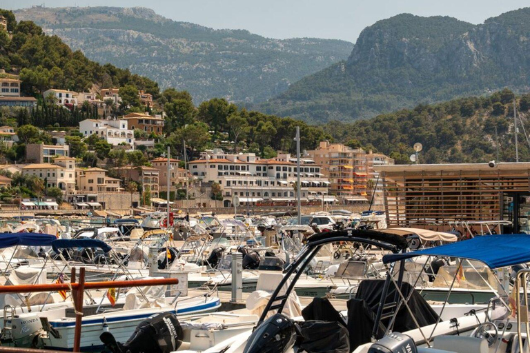 All of Mallorca: Exclusive Experience in an Intimate Group (12 people max.)