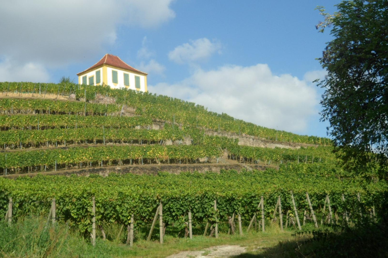 Dresden: Boat Cruise with Wine Tasting and Snacks