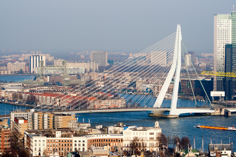 Från Amsterdam: Se Kinderdijk, Euromast, Delft och Den Haag