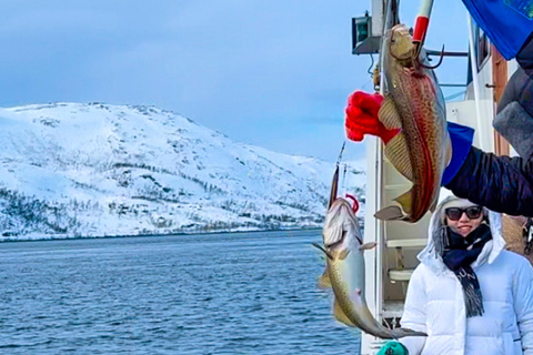 Tromsø: Arktyczne wędkowanie i rejs po fiordach z owocami morza na luksusowym jachcieTromsø: Luksusowy rejs na ryby i owoce morza