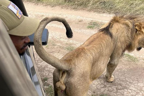 Tsavo East National Park: 3-Day Safari with Accommodation