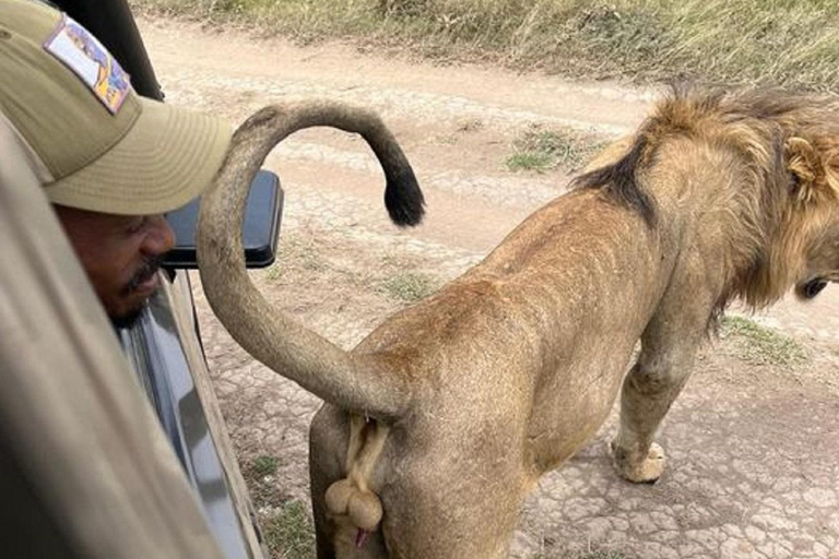 Tsavo East National Park: 3-Day Safari with Accommodation