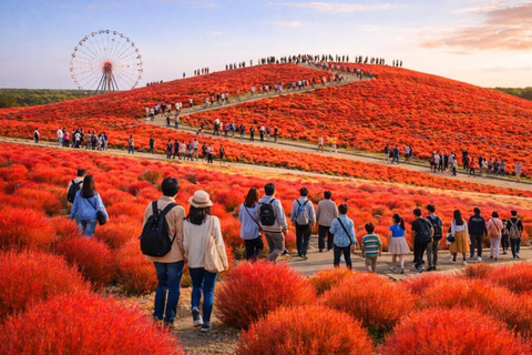 Hitachinaka Private Guided Tour from Tokyo by Car