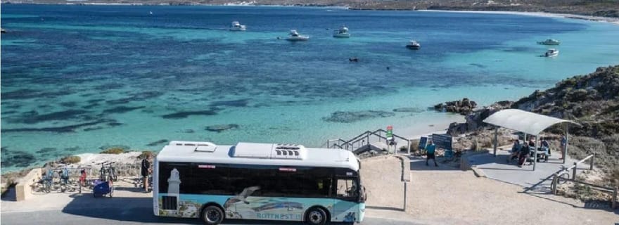 Ferry pour l'île Rottnest et visite en bus d'une heure et demie
