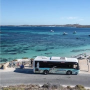 Rottnest Island Ferry and 1.75-Hour Bus Tour