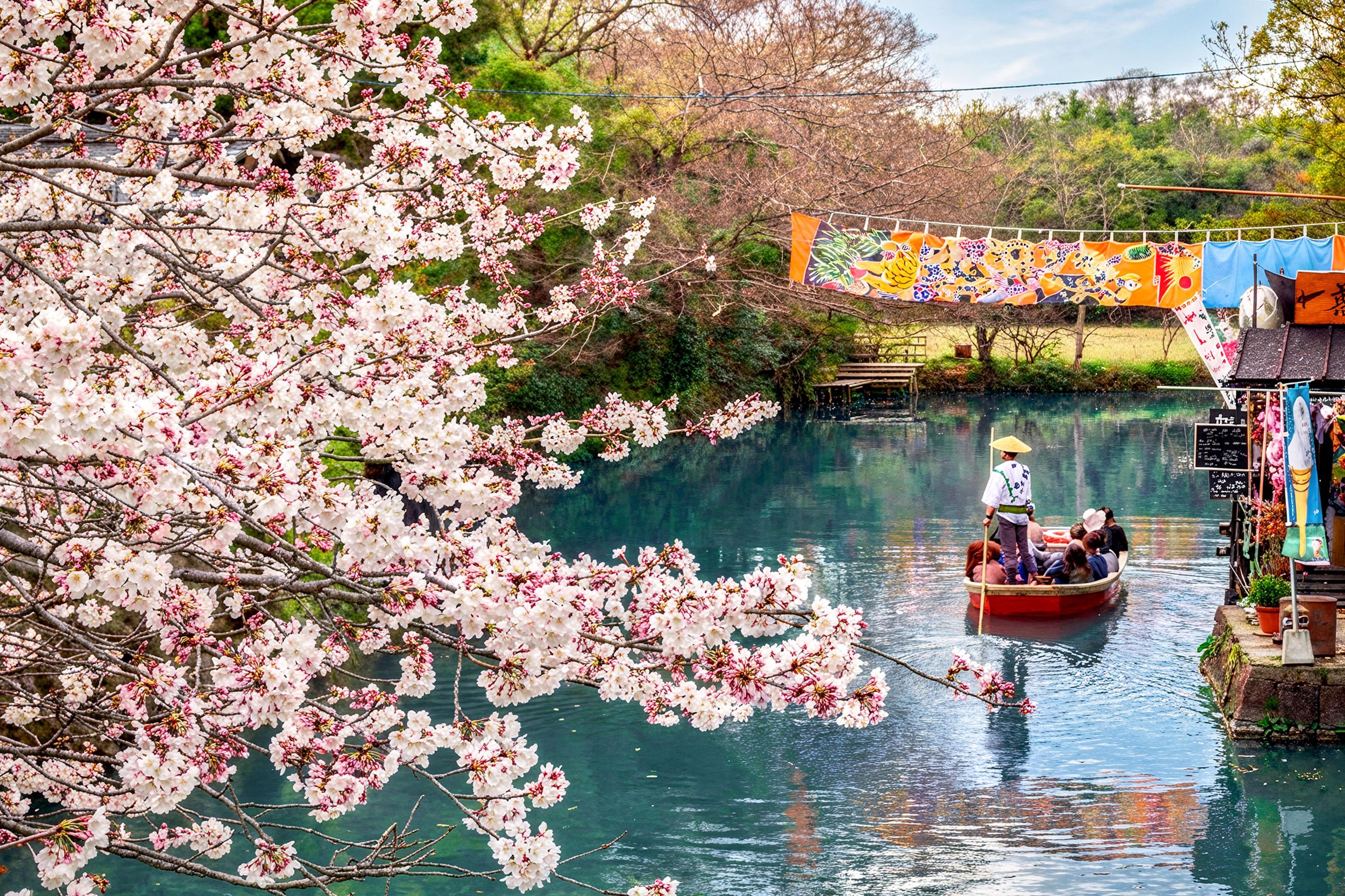 Fukuoka: Dazaifu, Flussfahrt auf dem Yanagawa & Erdbeerernte