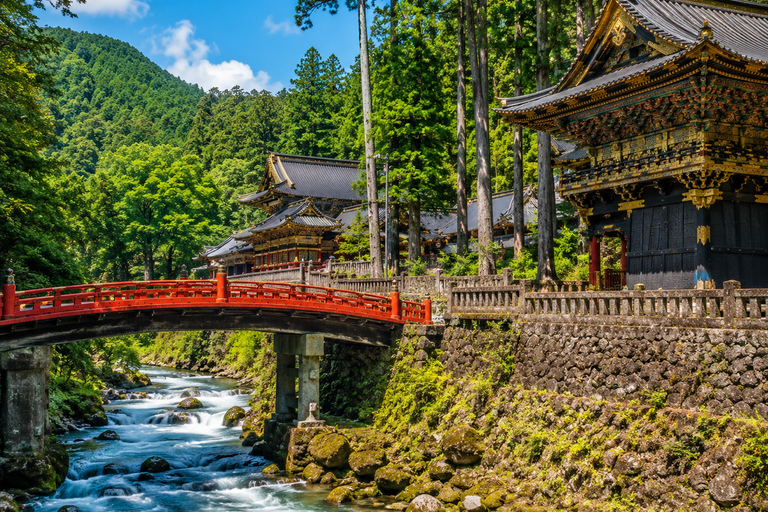 Kyoto: Private Customizable Day Tour with Hotel Pickup