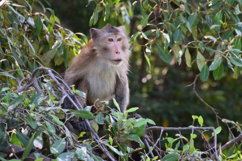 Targ Maeklong, tajemnice namorzynów, podróż inspirowana lotosem