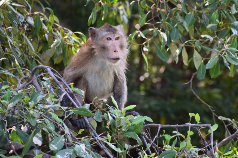 Targ Maeklong, tajemnice namorzynów, podróż inspirowana lotosem
