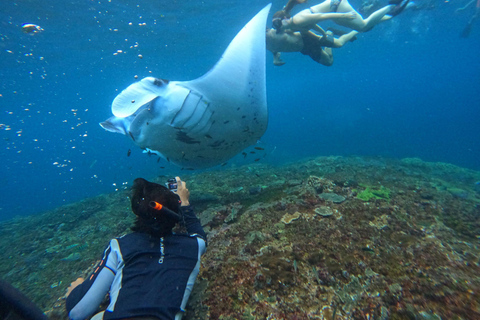 Bali: Excursión a Nusa Penida con Almuerzo y Snorkel en Manta PointBali Excursión de un día a Penida con almuerzo y buceo en Manta Point