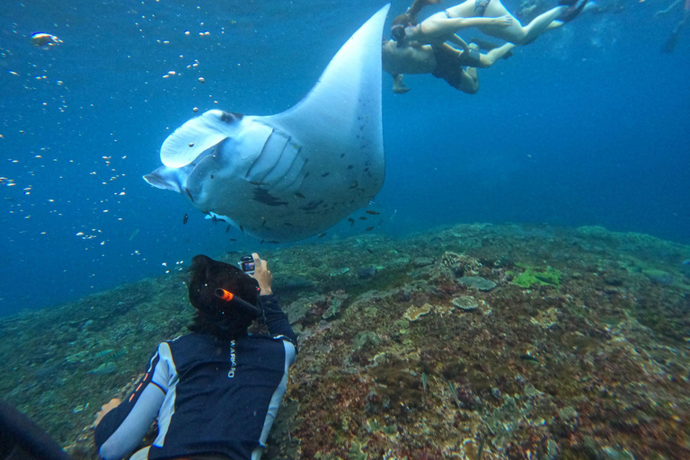 Bali: Excursión a Nusa Penida con Almuerzo y Snorkel en Manta PointBali Excursión de un día a Penida con almuerzo y buceo en Manta Point