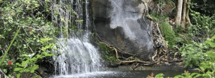 Excursion à terre à Freeport : Garden of the Groves et visite de la ville