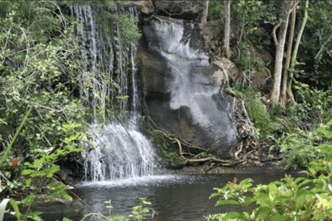 Freeport Shore Excursion: Garden of the Groves and City Tour