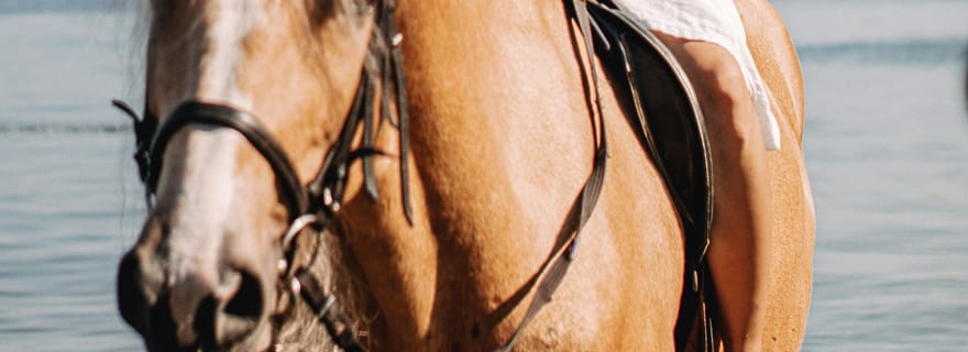Coffs Harbour, Australie : promenade à cheval sur la plage et baignade + photos