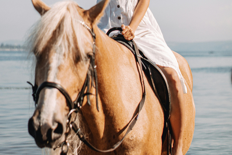 From Porto: Beach Horse Ride + Hotel Transfer