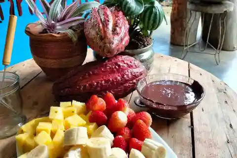 Cocoa Tour - San Rafael Antioquia from Medellín