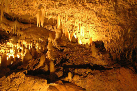 Barbados: Harrison’s Cave &amp; Hunte’s Gardens Tour