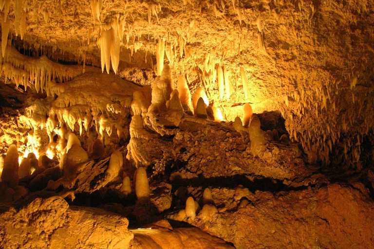 Barbados: Harrison’s Cave &amp; Hunte’s Gardens Tour