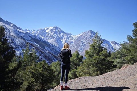 Marrakech: Atlasbergen topptur dag vandring 2700m