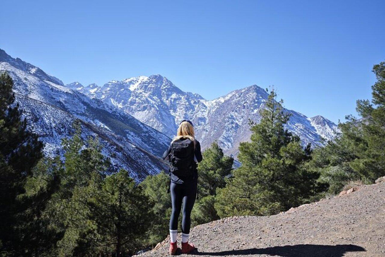 Marrakech: Atlasbergen topptur dag vandring 2700m