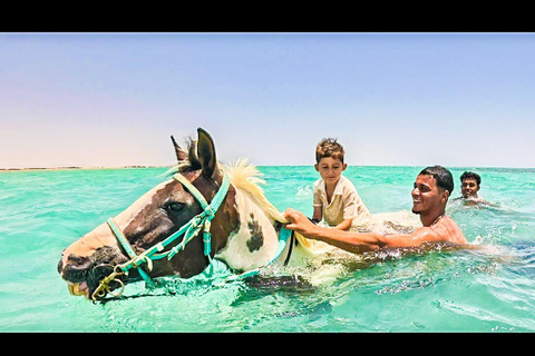 الغردقة: جولة ركوب الخيل في الصحراء والبحر مع خيار السباحةجولة لمدة ساعتين لركوب الخيل بدون السباح