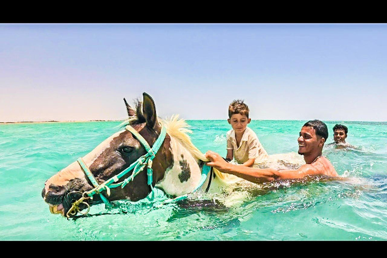 الغردقة: جولة ركوب الخيل في الصحراء والبحر مع خيار السباحةجولة لمدة ساعتين لركوب الخيل بدون السباح
