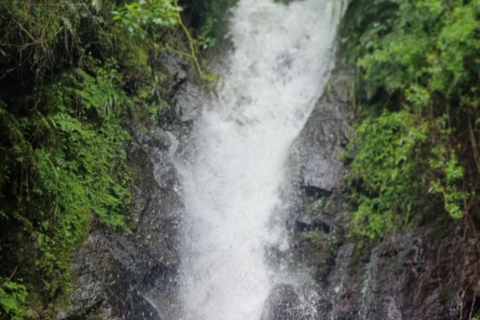 Cascada Escondida - San Lorenzo: trekking and nature in Salta