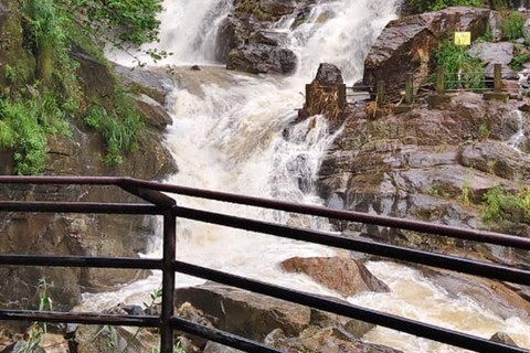 Kandy: Private Ella Journey with Tea, Falls & Arch Bridge