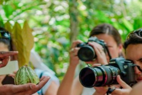 Zanzibar : visite d'une ferme d'épicesZanzibar : visite d'une plantation d'épices