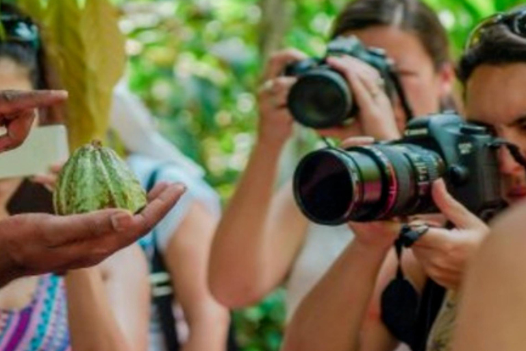 Zanzibar : visite d'une ferme d'épicesZanzibar : visite d'une plantation d'épices