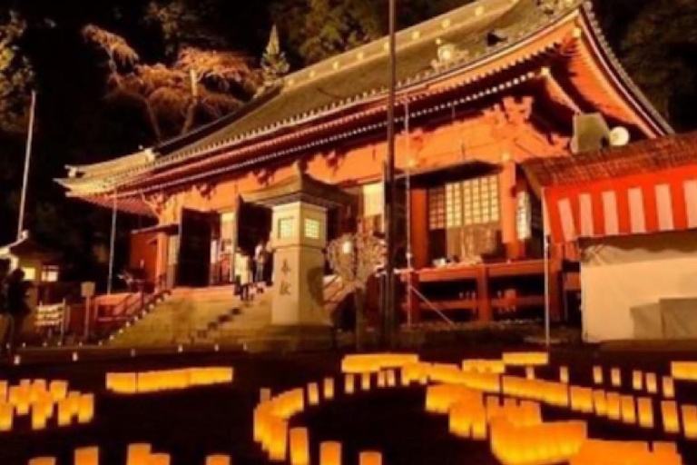 Nikko Tour Turístico Privado Charter con GuíaDesde Tokio: Nikko Tour Privado de un Día