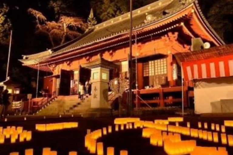 Nikko Private Charter Sightseeing Tour mit GuideVon Tokio aus: Nikko Private Tagestour