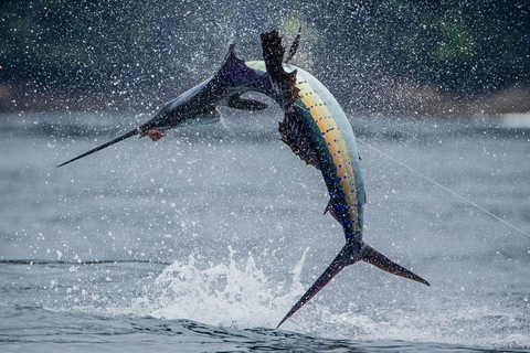 Fishing sporting zanzibar