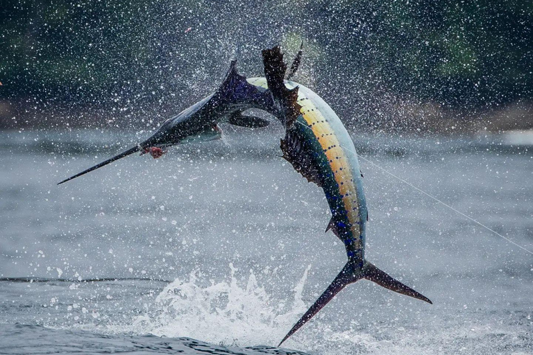 Fishing sporting zanzibar